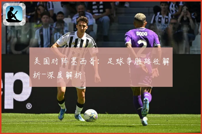 美国对阵墨西哥：足球争胜路径解析-深度解析