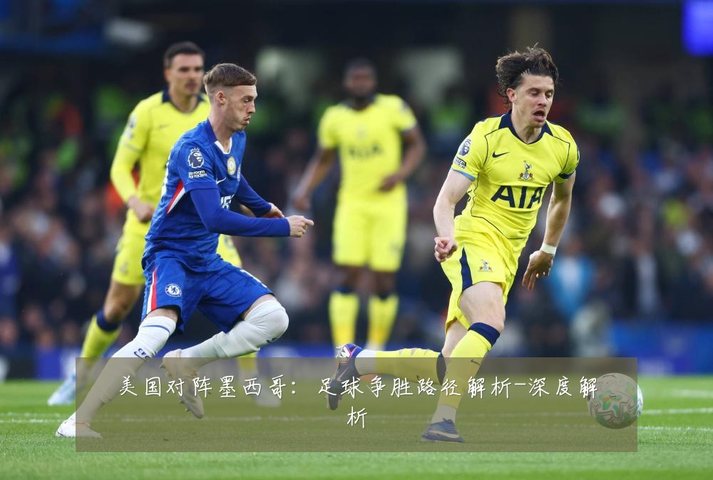 美国对阵墨西哥：足球争胜路径解析-深度解析
